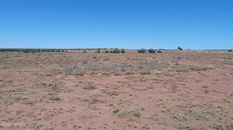 Tiny photo for TBD Ranch of the White Mountains10, Concho, AZ 85924 (MLS # 257452)