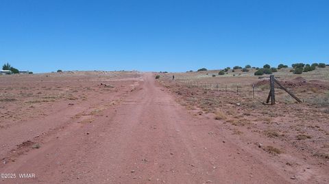 Tiny photo for TBD Ranch of the White Mountains10, Concho, AZ 85924 (MLS # 257452)