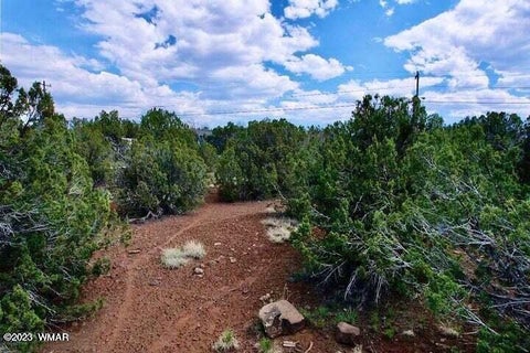 Tiny photo for 8416 Cochise Circle, Show Low, AZ 85901 (MLS # 261747)