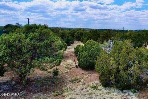 Tiny photo for 8416 Cochise Circle, Show Low, AZ 85901 (MLS # 261747)