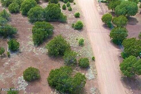 Tiny photo for 8416 Cochise Circle, Show Low, AZ 85901 (MLS # 261747)