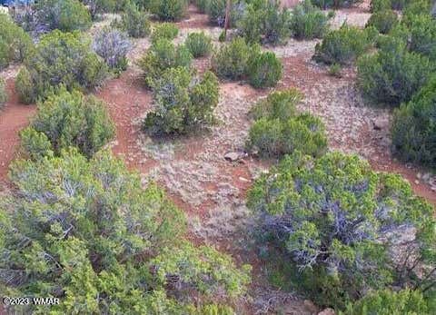 Tiny photo for 8416 Cochise Circle, Show Low, AZ 85901 (MLS # 261747)