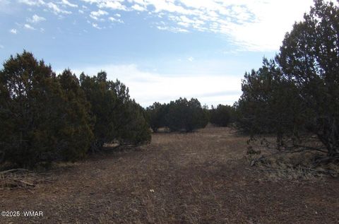 Tiny photo for TBD Idlewind Ranch #2 Lot 77A, Show Low, AZ 85901 (MLS # 258300)