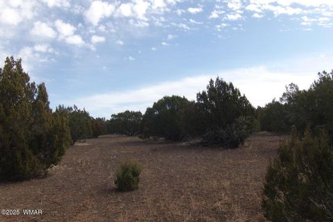 Photo of TBD Idlewind Ranch #2 Lot 77A, Show Low, AZ 85901 (MLS # 258300)