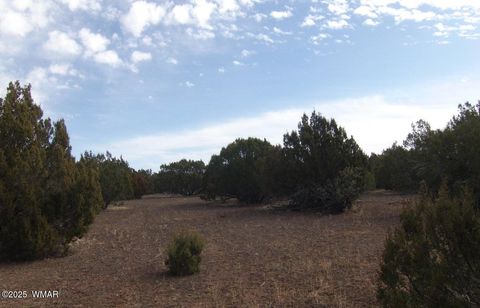 Tiny photo for TBD Idlewind Ranch #2 Lot 77A, Show Low, AZ 85901 (MLS # 258300)