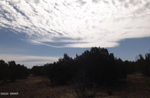 Tiny photo for TBD Idlewind Ranch #2 Lot 77A, Show Low, AZ 85901 (MLS # 258300)