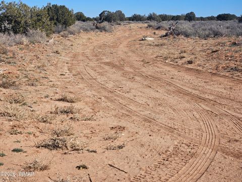 Photo of Snowflake, AZ 85937 (MLS # 259505)