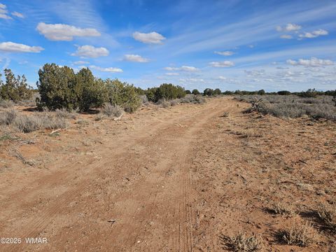 Photo of Snowflake, AZ 85937 (MLS # 259505)