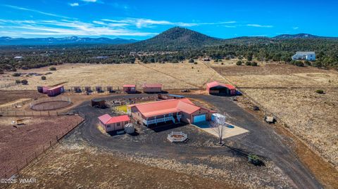 Tiny photo for 18 N3207, Vernon, AZ 85940 (MLS # 259626)