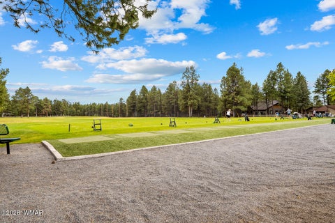 Tiny photo for 5133 Black Panther Loop, Pinetop, AZ 85935 (MLS # 263436)