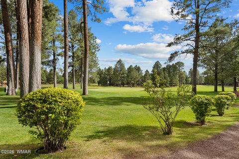 Tiny photo for 5133 Black Panther Loop, Pinetop, AZ 85935 (MLS # 263436)
