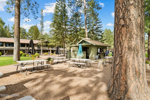 Tiny photo for 5133 Black Panther Loop, Pinetop, AZ 85935 (MLS # 263436)
