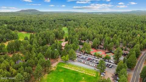 Tiny photo for 5133 Black Panther Loop, Pinetop, AZ 85935 (MLS # 263436)