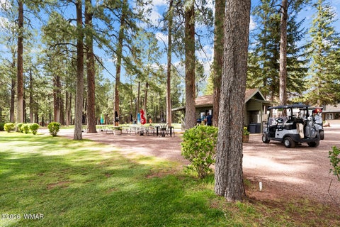 Tiny photo for 5133 Black Panther Loop, Pinetop, AZ 85935 (MLS # 263436)