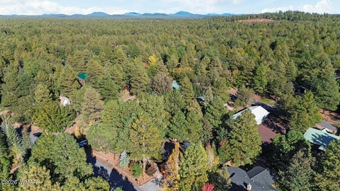 Tiny photo for 5133 Black Panther Loop, Pinetop, AZ 85935 (MLS # 263436)