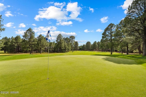 Tiny photo for 5133 Black Panther Loop, Pinetop, AZ 85935 (MLS # 263436)