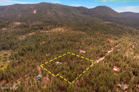 Tiny photo for 14 County Road 2135, Alpine, AZ 85920 (MLS # 262744)
