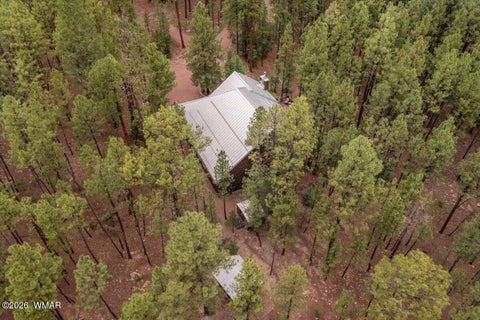 Tiny photo for 14 County Road 2135, Alpine, AZ 85920 (MLS # 262744)