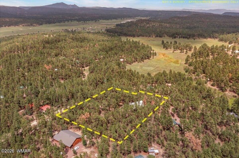 Tiny photo for 14 County Road 2135, Alpine, AZ 85920 (MLS # 262744)