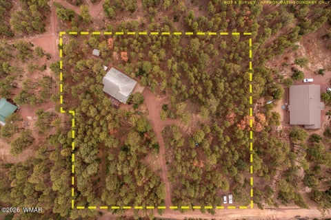 Tiny photo for 14 County Road 2135, Alpine, AZ 85920 (MLS # 262744)