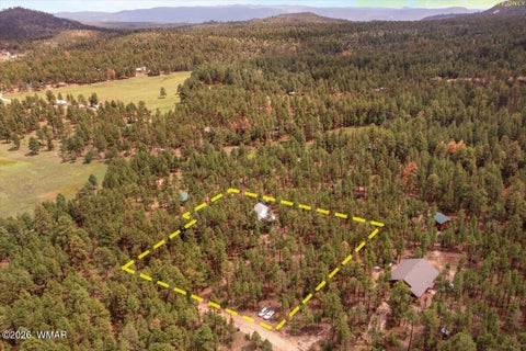 Tiny photo for 14 County Road 2135, Alpine, AZ 85920 (MLS # 262744)