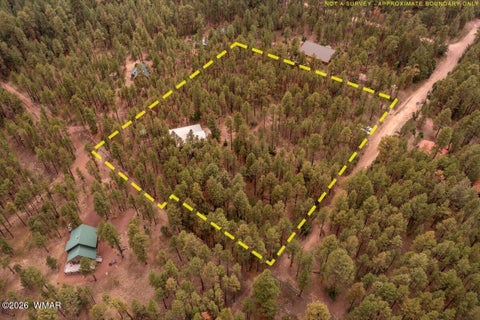Tiny photo for 14 County Road 2135, Alpine, AZ 85920 (MLS # 262744)