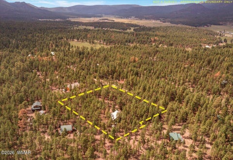 Tiny photo for 14 County Road 2135, Alpine, AZ 85920 (MLS # 262744)