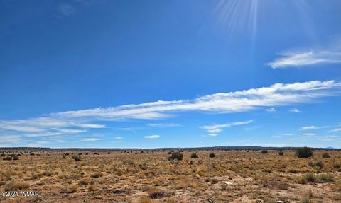 Tiny photo for 8220 Lois Lane, Snowflake, AZ 85937 (MLS # 253460)