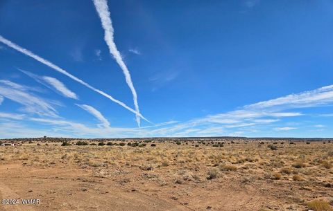 Tiny photo for 8220 Lois Lane, Snowflake, AZ 85937 (MLS # 253460)