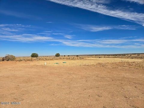 Tiny photo for 8220 Lois Lane, Snowflake, AZ 85937 (MLS # 253460)