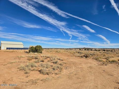 Tiny photo for 8220 Lois Lane, Snowflake, AZ 85937 (MLS # 253460)