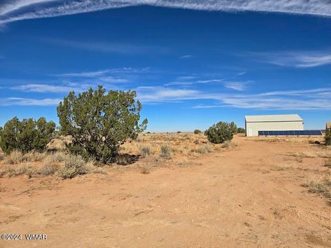 Tiny photo for 8220 Lois Lane, Snowflake, AZ 85937 (MLS # 253460)