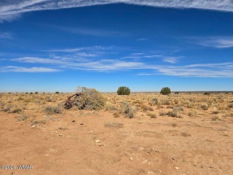 Tiny photo for 8220 Lois Lane, Snowflake, AZ 85937 (MLS # 253460)