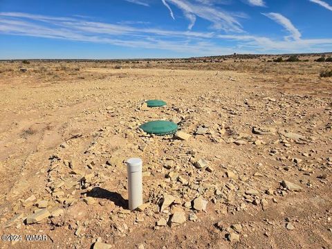 Tiny photo for 8220 Lois Lane, Snowflake, AZ 85937 (MLS # 253460)