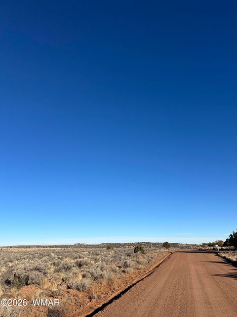 Tiny photo for 3893 Trebil Boulevard, Snowflake, AZ 85937 (MLS # 259265)