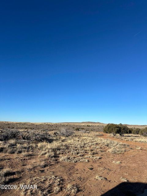 Tiny photo for 3893 Trebil Boulevard, Snowflake, AZ 85937 (MLS # 259265)