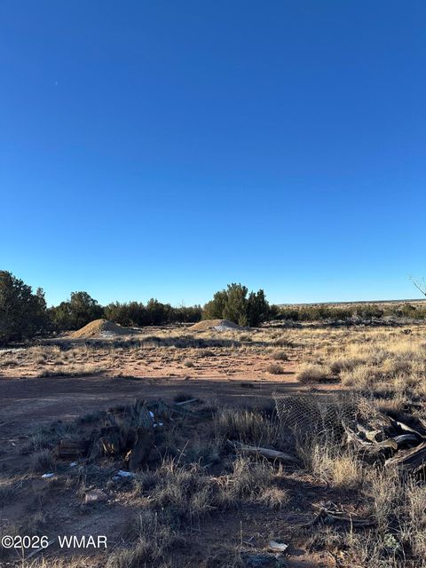 Tiny photo for 3893 Trebil Boulevard, Snowflake, AZ 85937 (MLS # 259265)