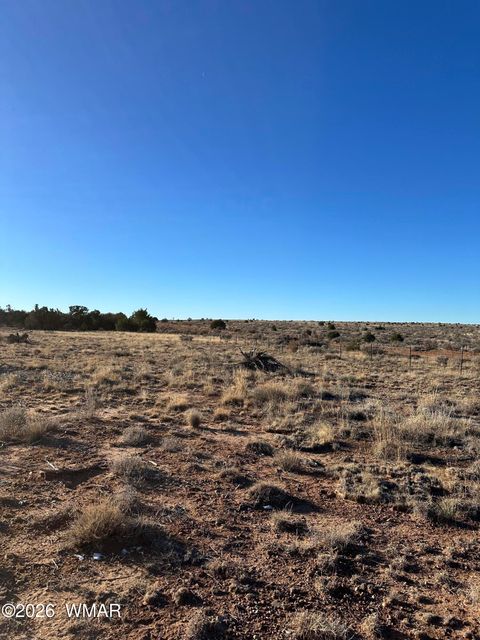 Tiny photo for 3893 Trebil Boulevard, Snowflake, AZ 85937 (MLS # 259265)