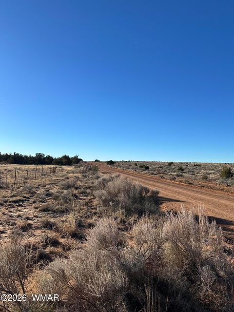 Tiny photo for 3893 Trebil Boulevard, Snowflake, AZ 85937 (MLS # 259265)