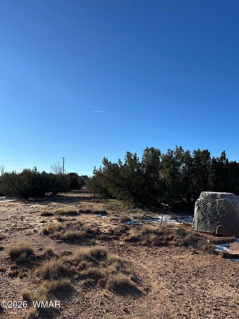 Tiny photo for 3893 Trebil Boulevard, Snowflake, AZ 85937 (MLS # 259265)
