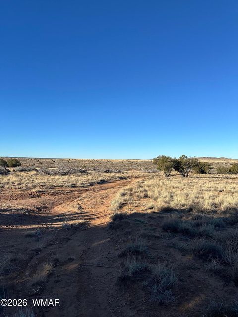 Tiny photo for 3893 Trebil Boulevard, Snowflake, AZ 85937 (MLS # 259265)