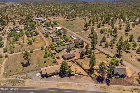 Tiny photo for 2745 Senior Center Street, Overgaard, AZ 85933 (MLS # 261700)
