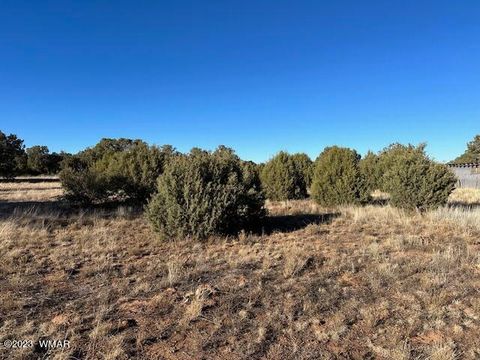 Tiny photo for 13 Lone Pine Dam Road, Show Low, AZ 85901 (MLS # 248828)