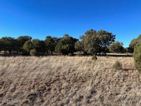 Tiny photo for 13 Lone Pine Dam Road, Show Low, AZ 85901 (MLS # 248828)