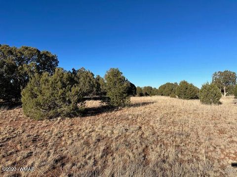 Tiny photo for 13 Lone Pine Dam Road, Show Low, AZ 85901 (MLS # 248828)