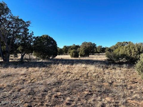 Tiny photo for 13 Lone Pine Dam Road, Show Low, AZ 85901 (MLS # 248828)