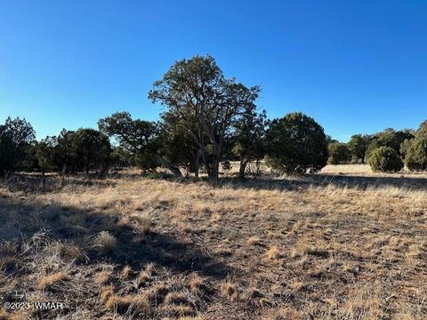 Tiny photo for 13 Lone Pine Dam Road, Show Low, AZ 85901 (MLS # 248828)