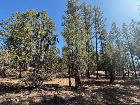 Tiny photo for 4790 W Hawthorn Road, Show Low, AZ 85901 (MLS # 255057)