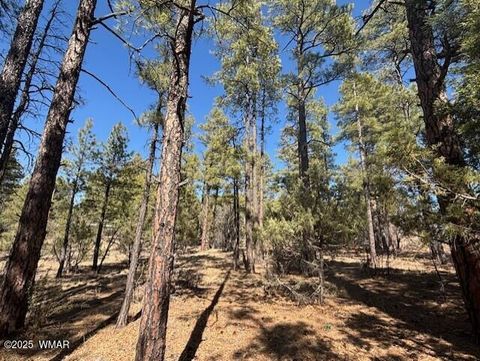 Tiny photo for 4790 W Hawthorn Road, Show Low, AZ 85901 (MLS # 255057)