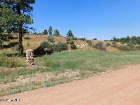 Photo of 2806-2808 Pine Hill Drive, Overgaard, AZ 85933 (MLS # 260061)